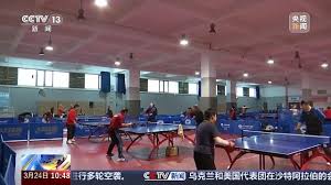 体育器材小学生篮球架